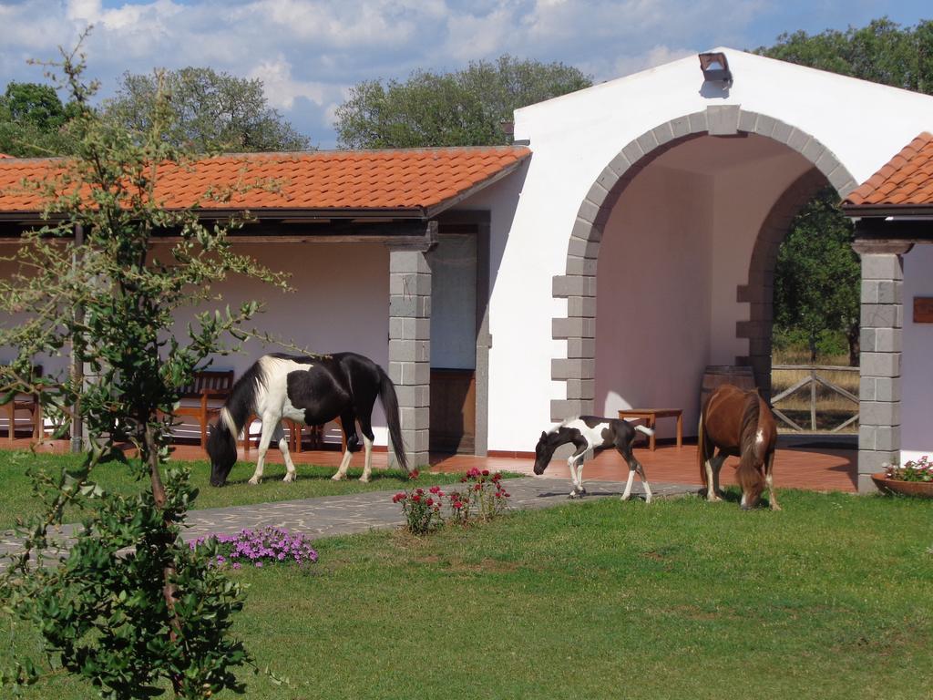 Hotel Su Baione Abbasanta Luaran gambar